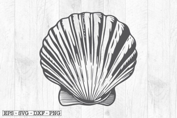 Download Sea Shell Illustration , Shell Svg - Premium Resources