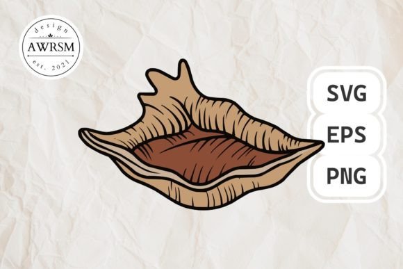 Download Clamshell SVG Vector, Seashell Clipart - Shell svg Collection