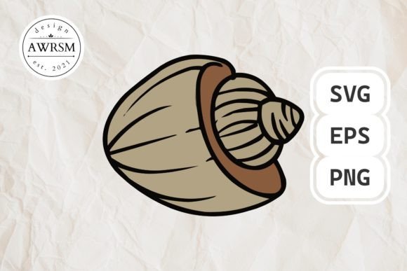 Download Clamshell SVG Vector, Seashell Clipart - Shell svg Collection