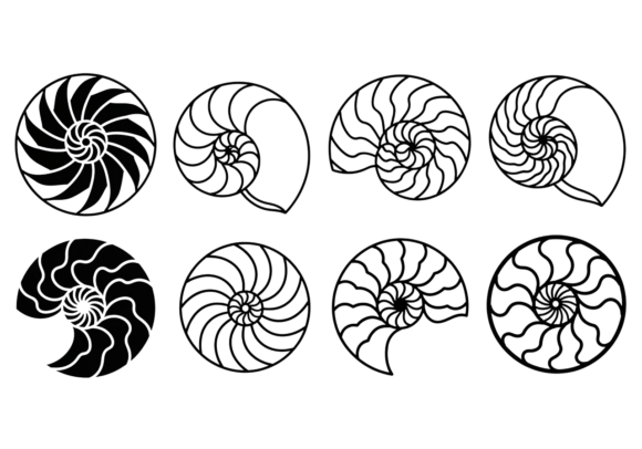 Download Nautilus Shell SVG Clipart Bundle - Premium Bundle