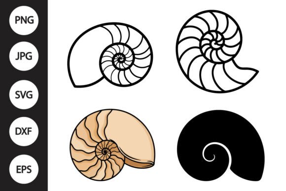 Download Nautilus Shell SVG - Premium Bundle