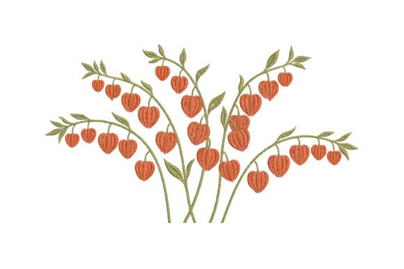 Download Chinese Lantern Plant Embroidery Design - Lantern Collection
